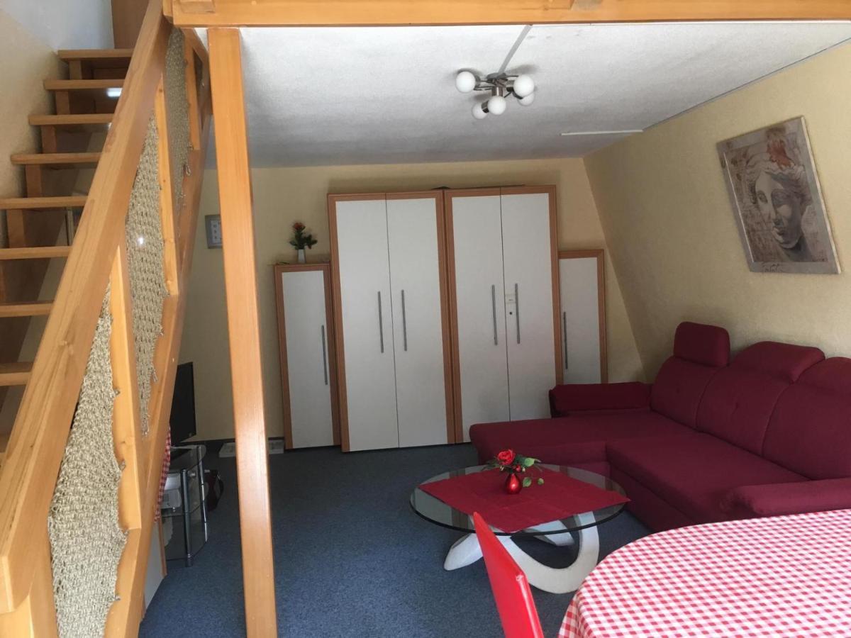 Haus Dachsberg Todtmoos Apartman Kültér fotó
