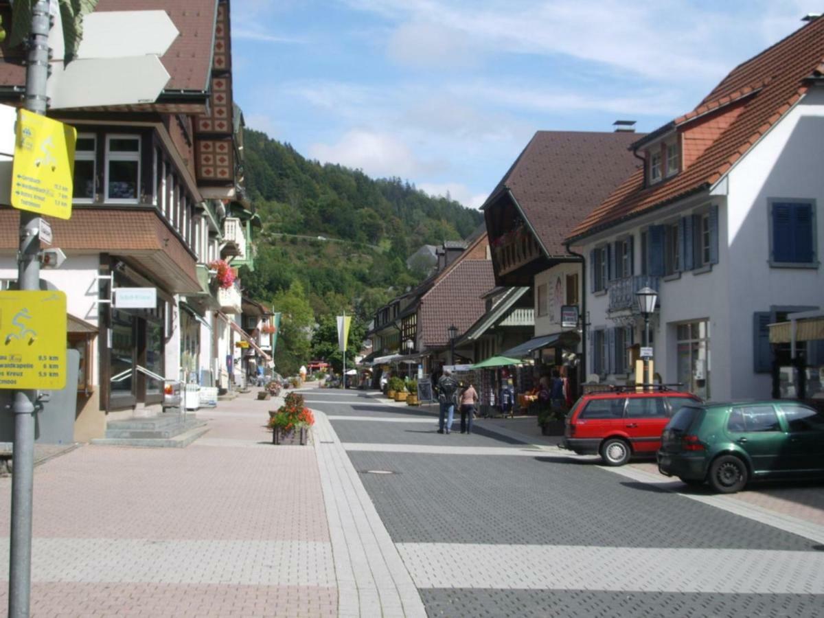 Haus Dachsberg Todtmoos Apartman Kültér fotó