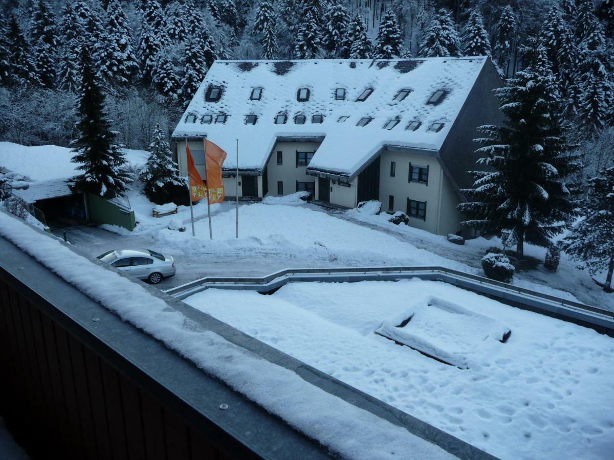 Haus Dachsberg Todtmoos Apartman Kültér fotó